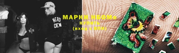 крисы Инта