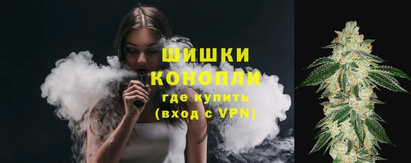 крисы Инта