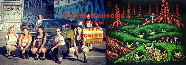 прущая мука Иннополис
