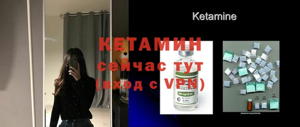 крисы Инта