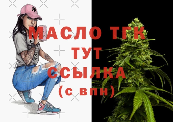 крисы Инта
