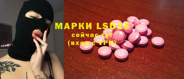 крисы Инта