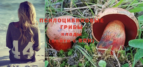 крисы Инта