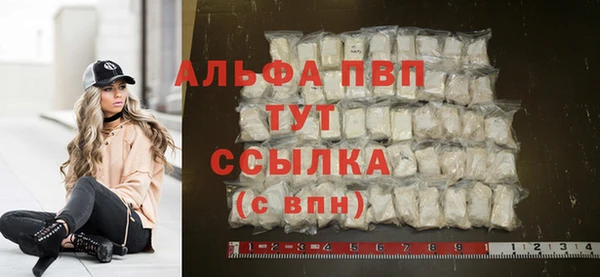 крисы Инта