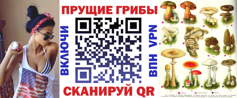 где купить Камызяк Галлюциногенные грибы Cubensis