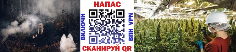 Каннабис SATIVA & INDICA  купить наркотик  Камызяк 